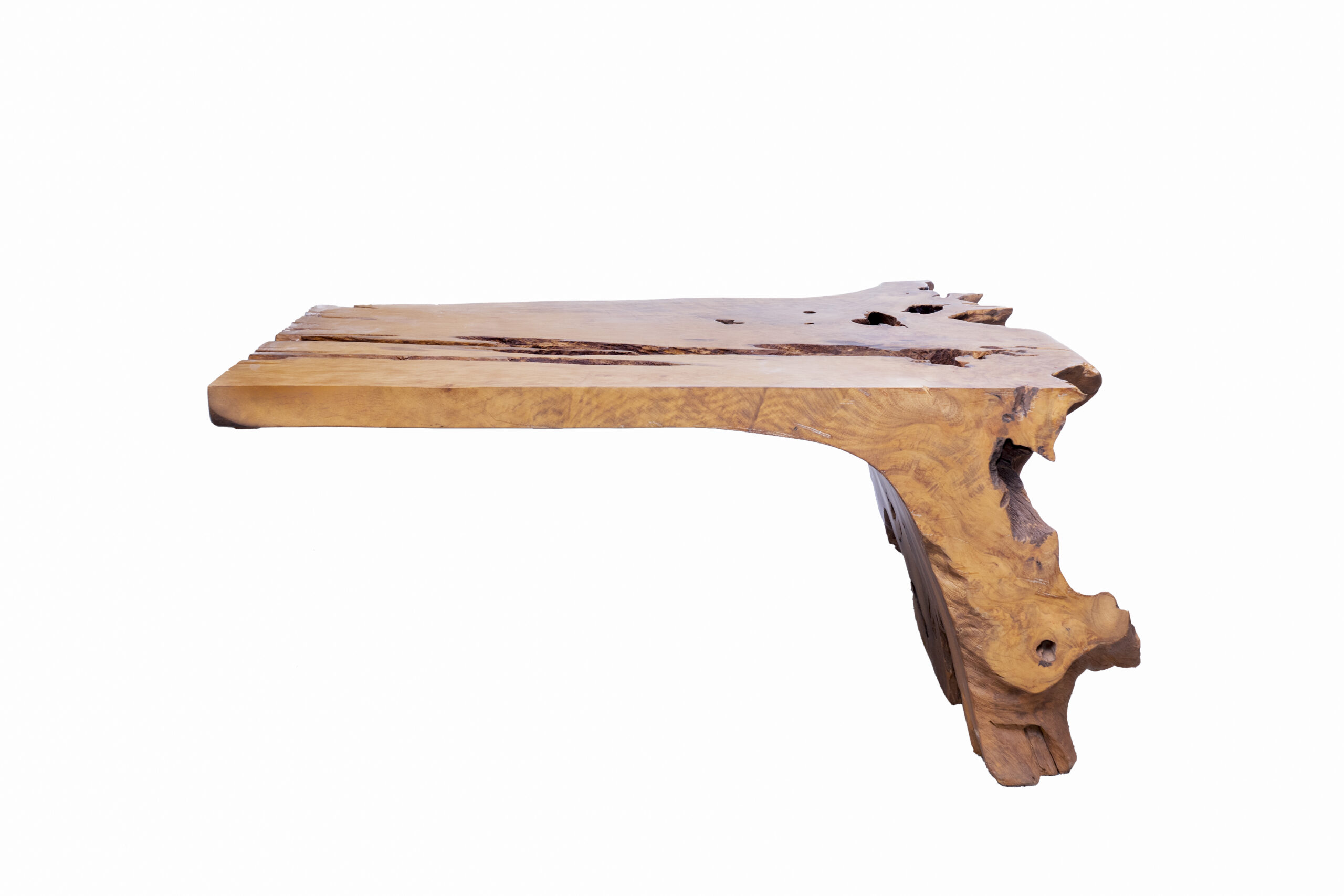 Mesa Raiz