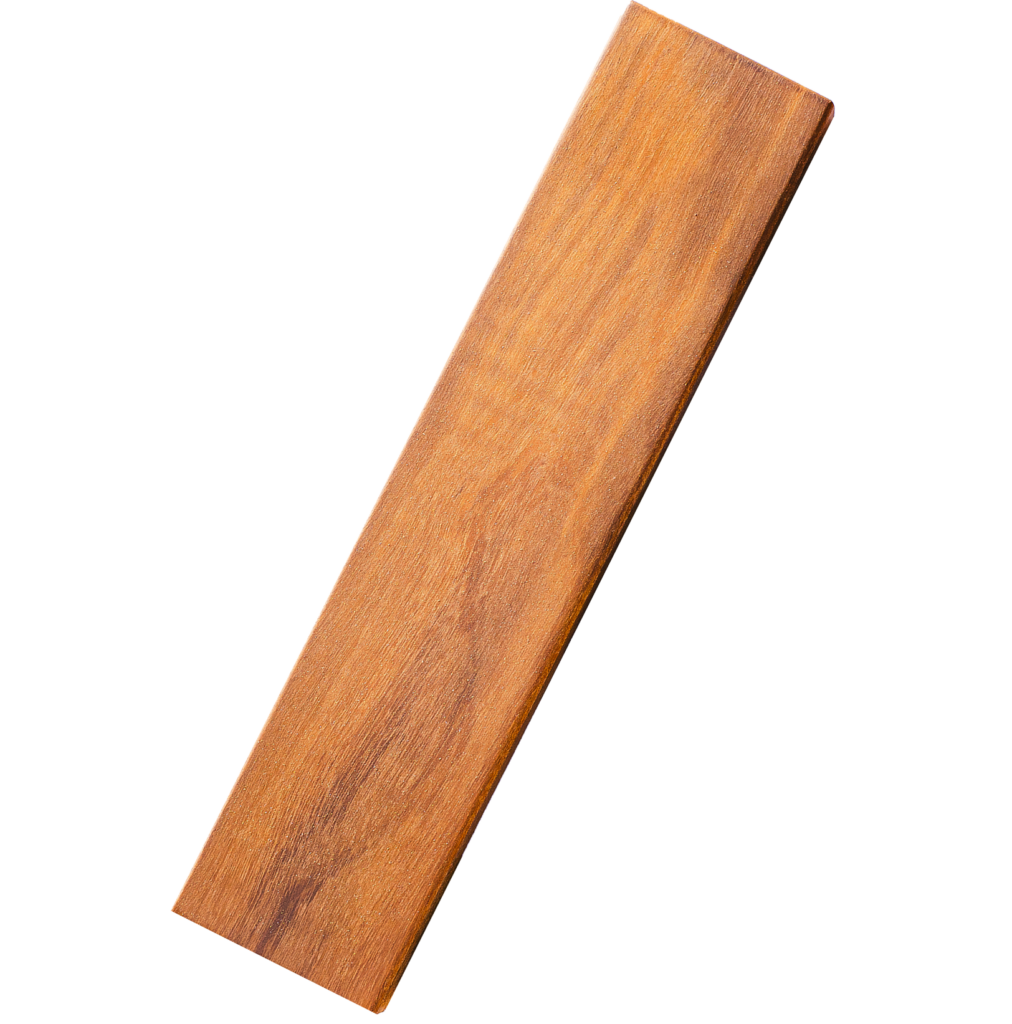 rega de 10